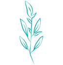 Aesthetics near Fitchburg, Massachusetts _ Aesthetics by Cie (11).png