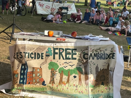 Pesticide-Free Cambridge at River Rights Festival 21 June 2025