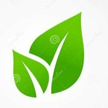 eco council.jpeg