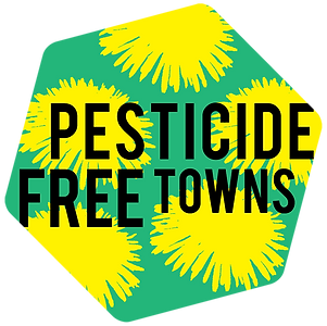 logo (1).png
