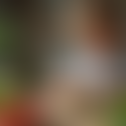 Ateliers de naturopathie pour enfants et adultes