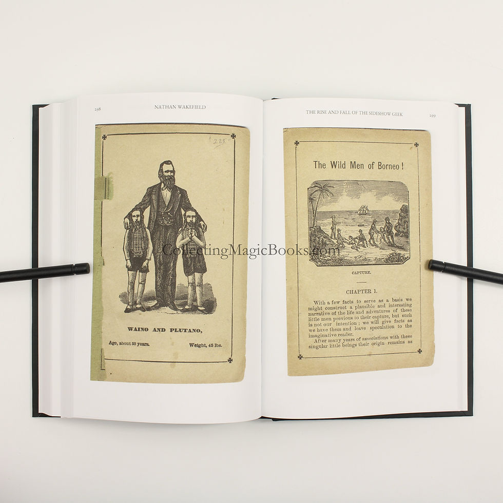 Thumbnail: The Rise and Fall of the Sideshow Geek (Hardback) - Nathan Wakefield