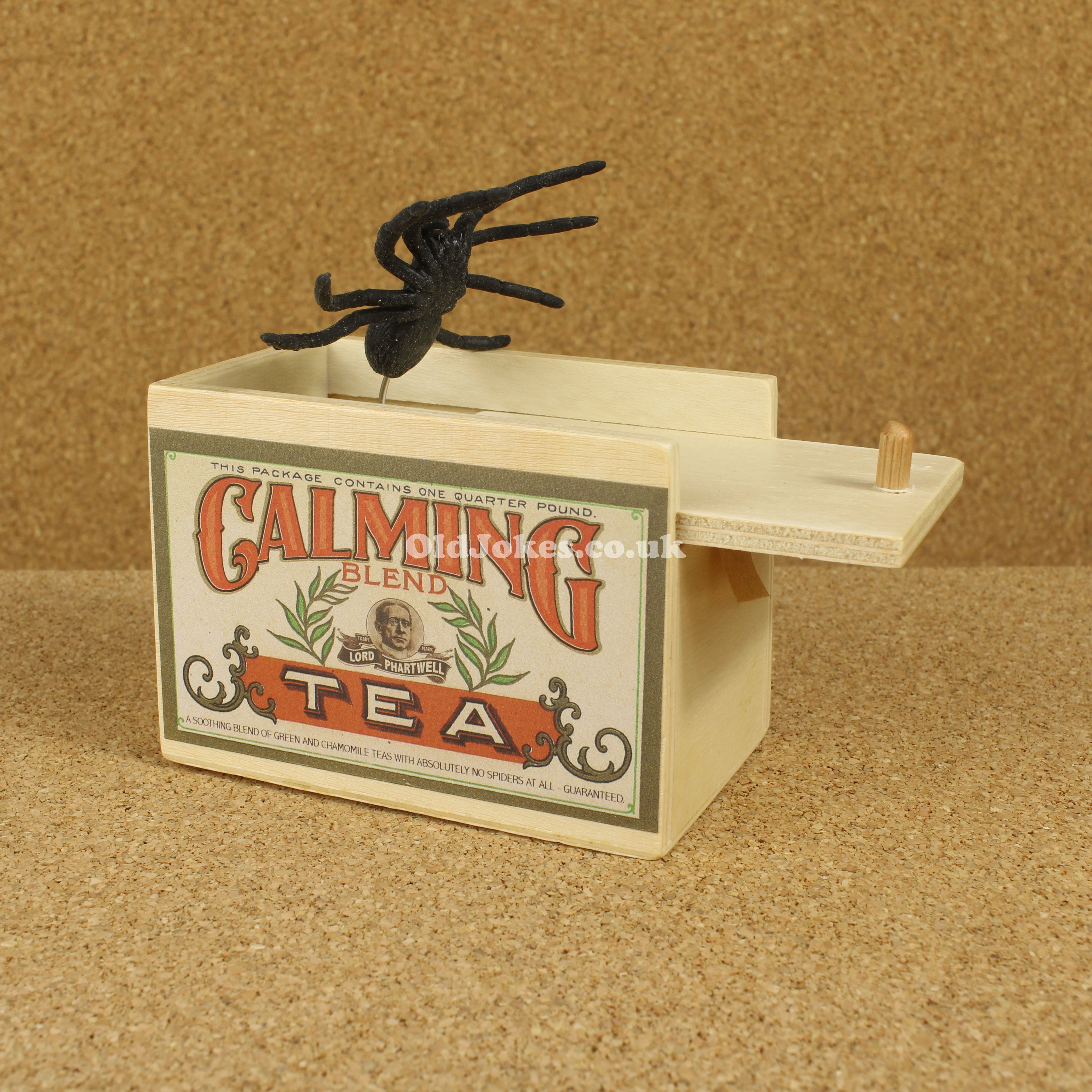 Jumping Spider in the Tea Caddy