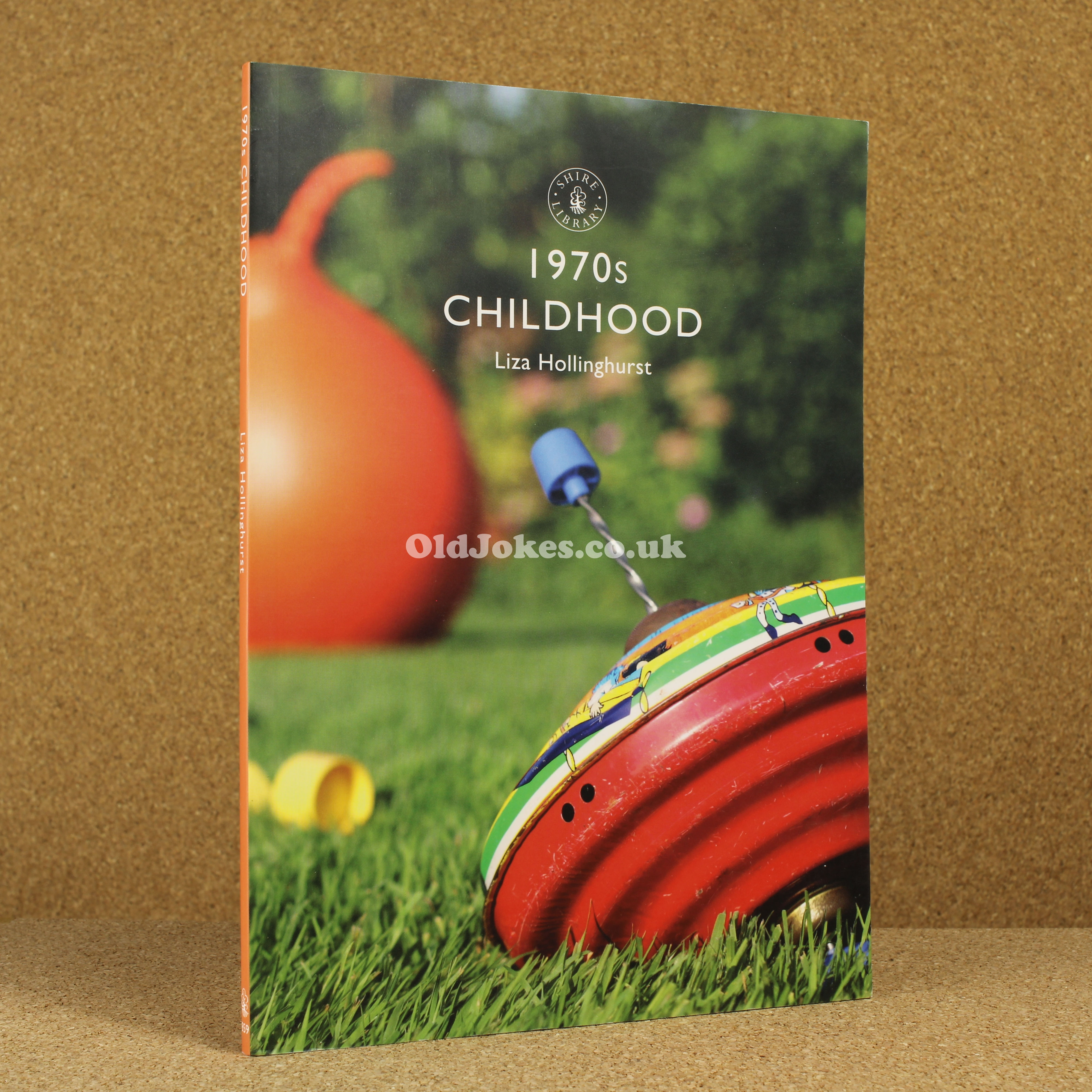1970s Childhood - Liza Hollinghurst