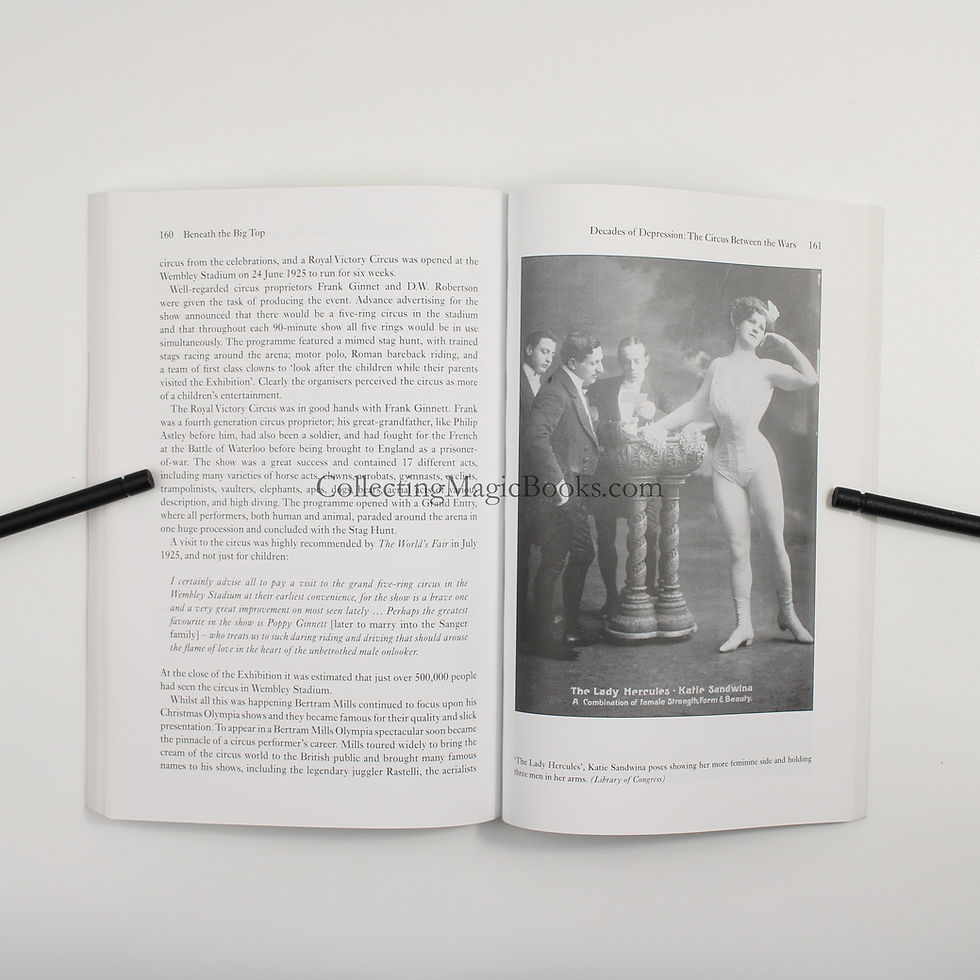 Thumbnail: Beneath the Big Top, A Social History of Circus in Britain - Steve Ward