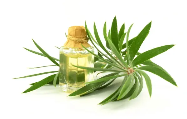 Thumbnail: Family Original Liniment
