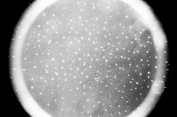 deim_space_dark noise