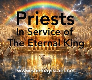 Priests in Service.jpeg