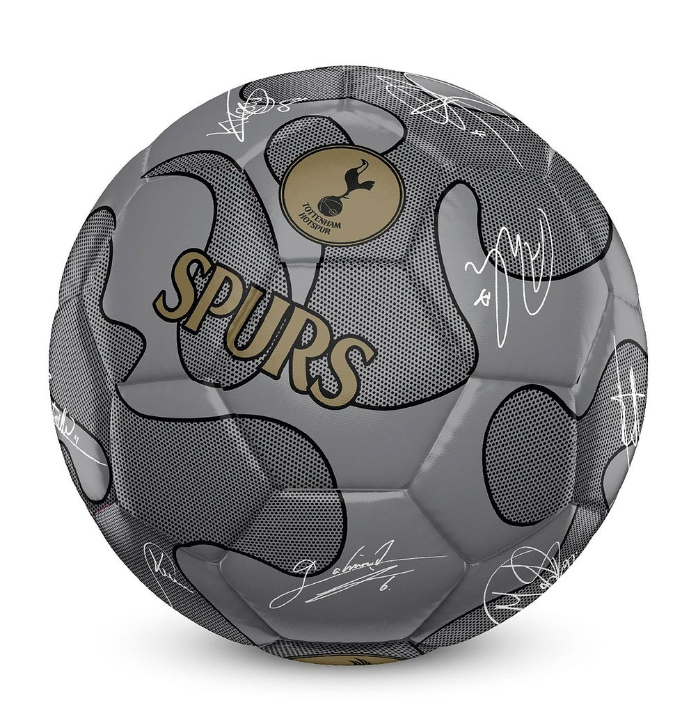 Tottenham Hotspur 32 Panel Camo Signature Football (size 5 - Silver) - SS08902