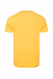 Thumbnail: Weird Fish - Palm Island Front Print Graphic T-Shirt in Lemon Yellow (204035)