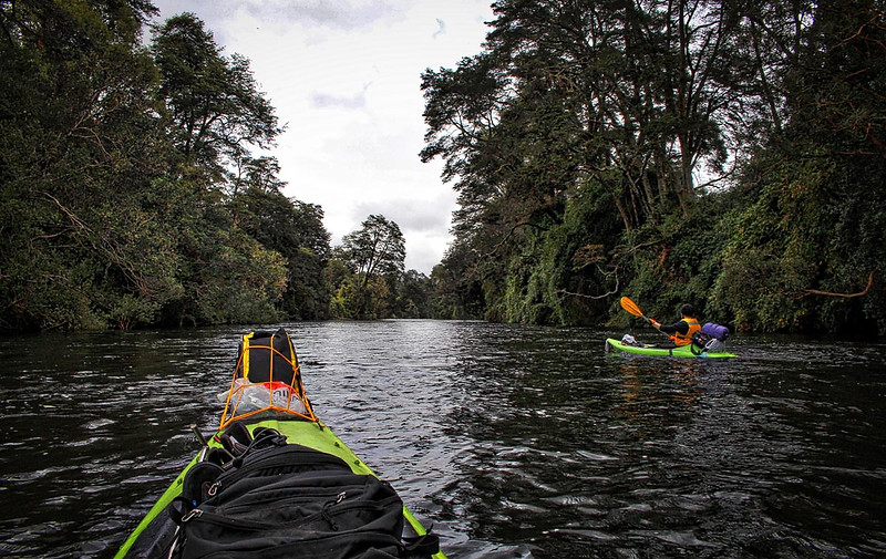 Kayak_por_el_Maullin-4.jpg