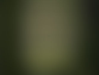 ✨ Bienvenidx a Diario de una Alquimista