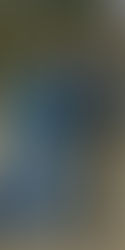 下北沢の外れにOPENしたニッチな古着屋 " PGB store "が、グラフィックアーティスト " Neam " と【NOMAD】をテーマにポップアップを開催
