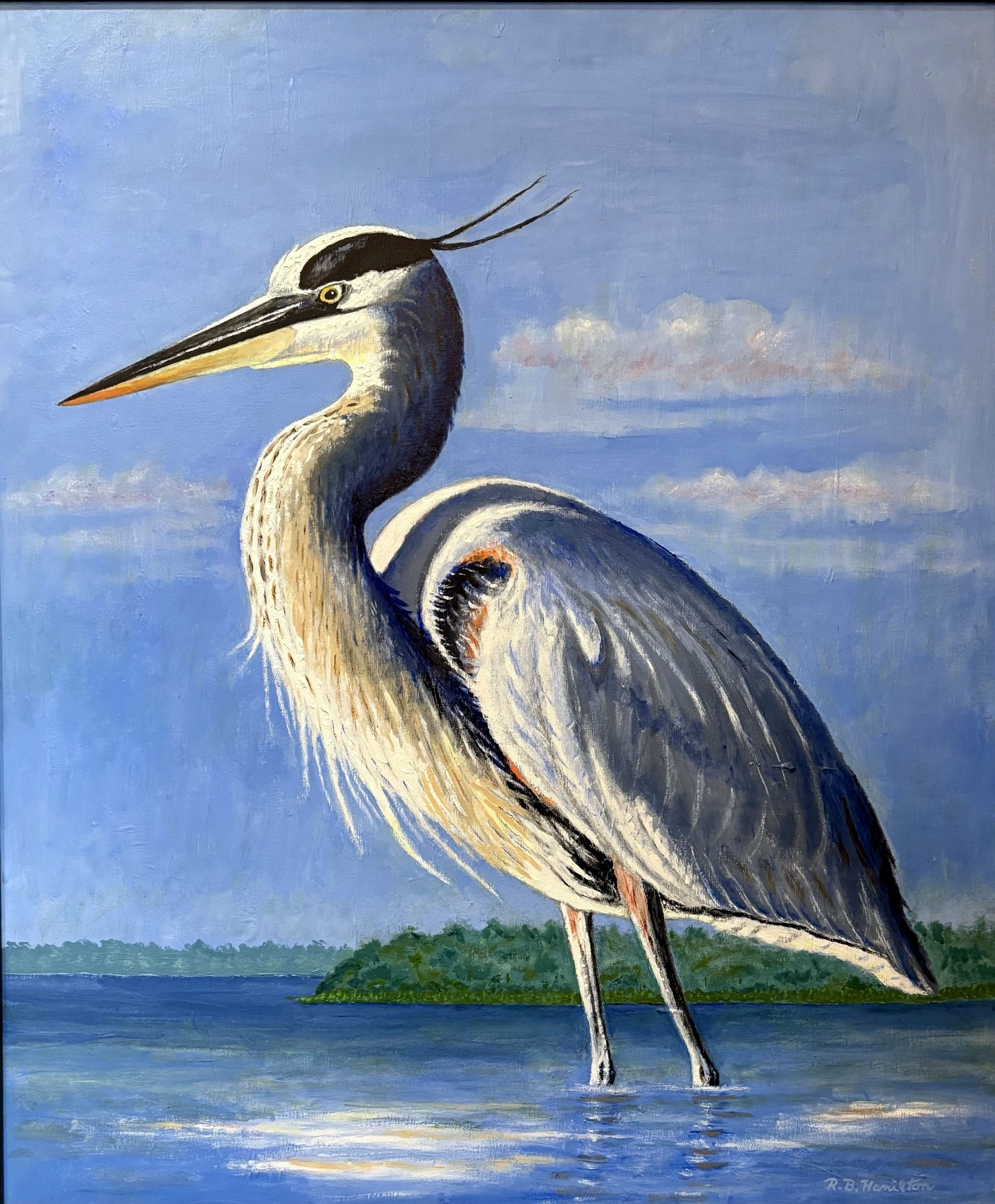 King of the Marsh  by Dick Hamilton