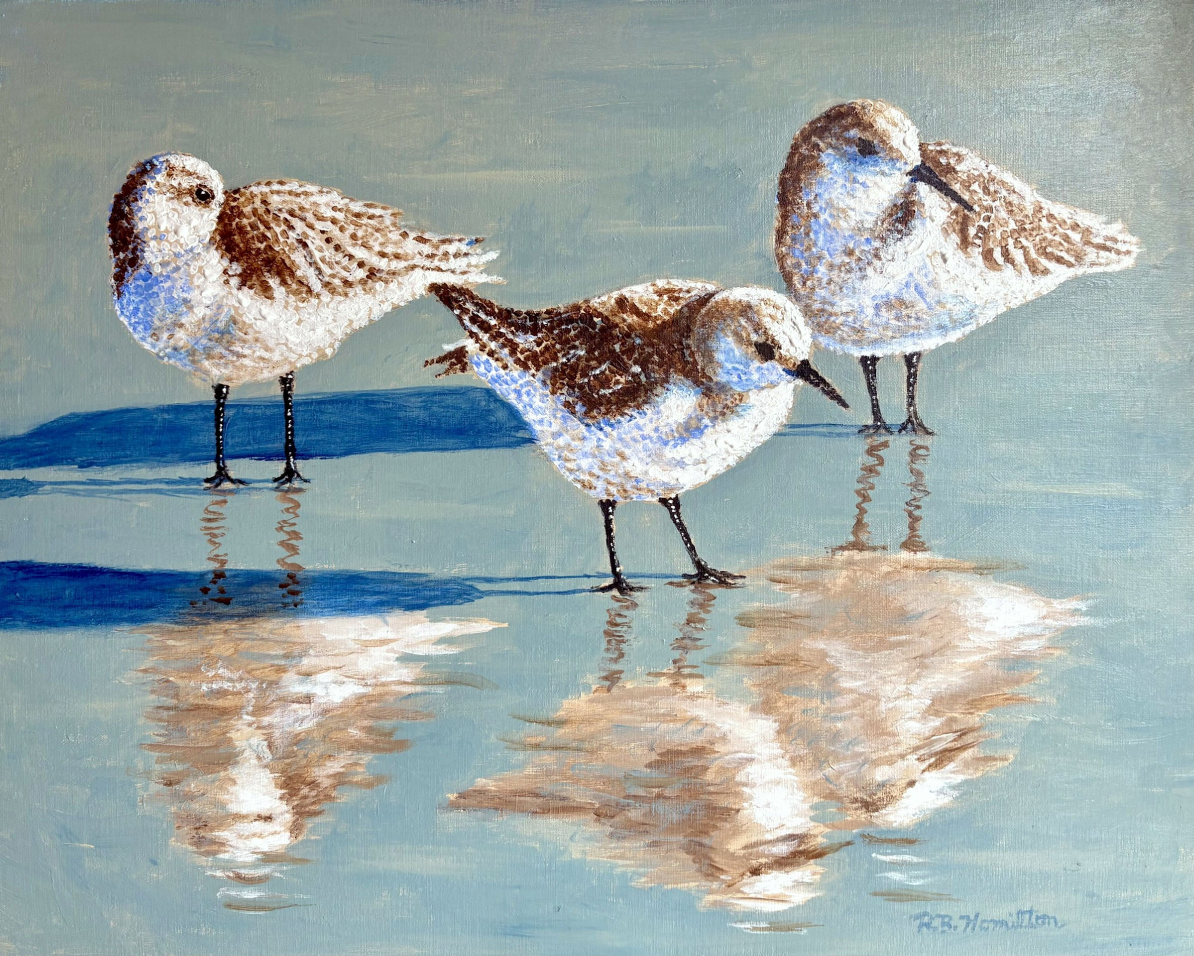 Three Sanderlings by Dick Hamilton