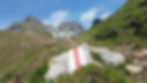 20190706_113937.jpg