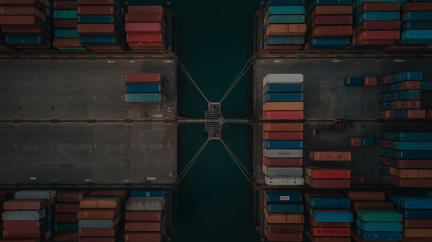 Global sourcing network for exotic fruit products with container logistics and international supply chain from Brazil to Europe