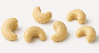 Whole cashew nuts W240 – high quality kernels for food industry and wholesale distribution