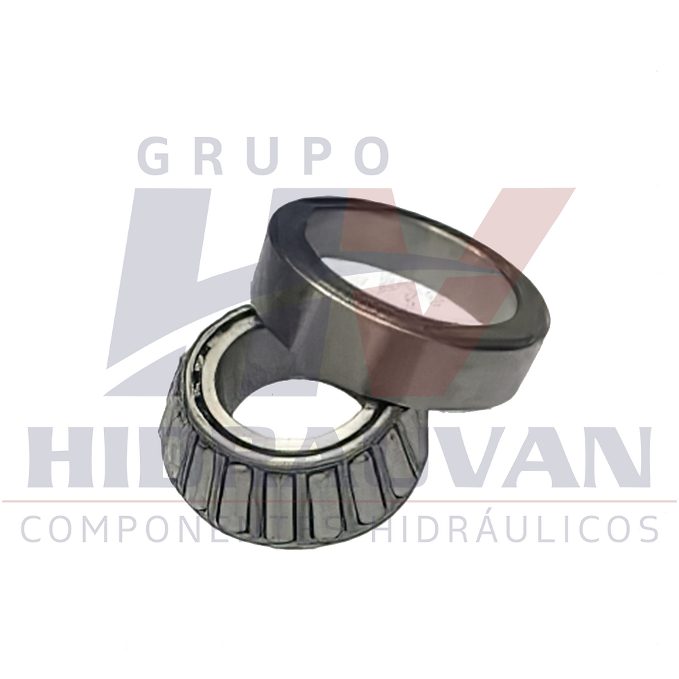 Rolamento Traseiro 990016000