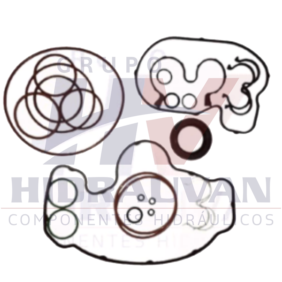 Kit de Vedação bomba - Trator TM 120/180 1843 82036258