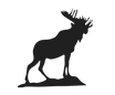 Moose International