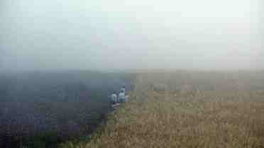 Jon Fawcett - Hearts And Mind