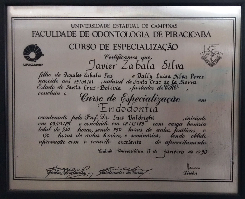 Endodontia - UNICAMP-SP - 1990