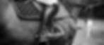 Close-up of a horse's legs wearing protective boots