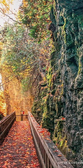 Mono Cliffs Provincial Park.png