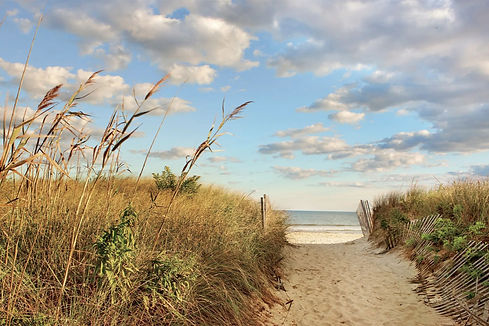 A scenic path bordered by tall grass and sand dunes