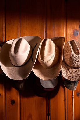 Various hats displayed on a wall at Horse Park, Jacksonville