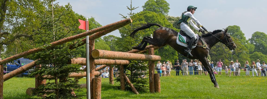 A Weekend at Windsor Polo Club