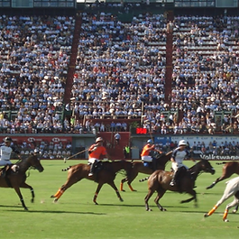 Campo Argentino de Polo