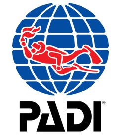 1200px-Logo_of_PADI.svg.png