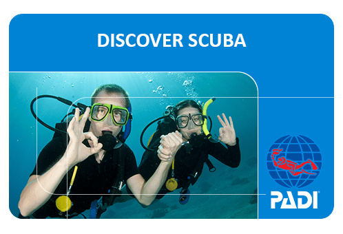 縮圖：PADI 體驗水肺潛水 1 Discover Scuba Diving 1