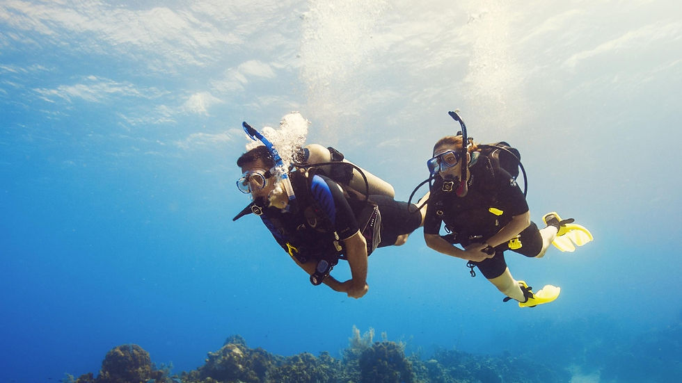 縮圖：PADI 水肺潛水員 Scuba Diver