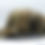 Thumbnail: Visual Eyes Strapback Camo Hat