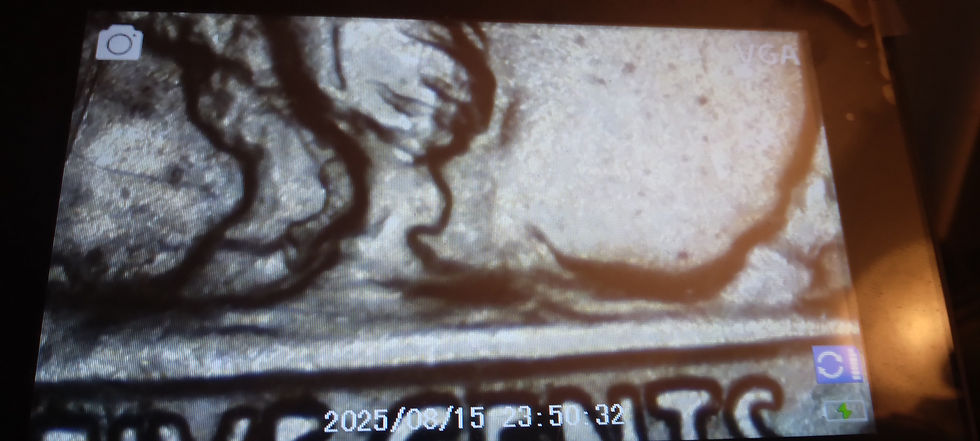 Thumbnail: Rare 1930 S Buffalo Nickel with DDOs + Strike Throughs