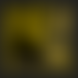 So long and see you soon: A farewell to the meadery's pro.