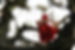 remembering doll.jpg