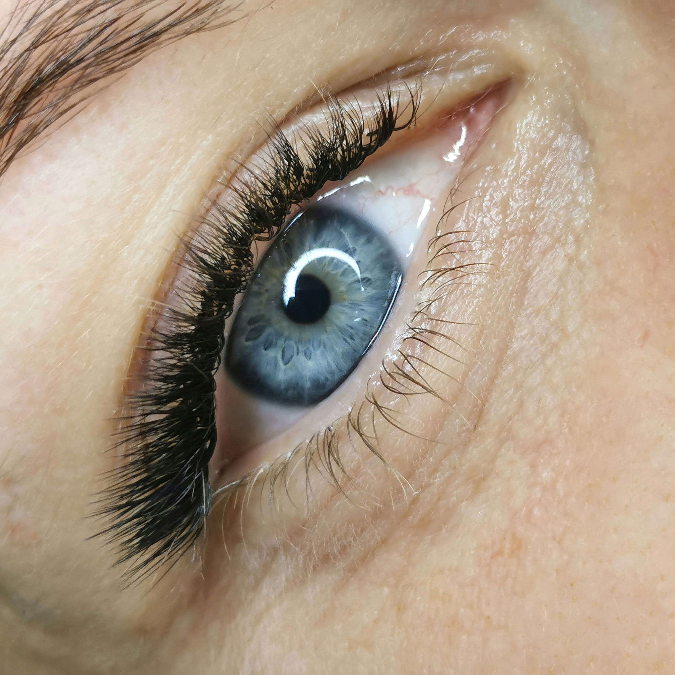 Formation Effet Tendance