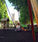 Victoria Tower Gardens - Parliament