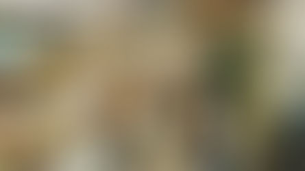 I Miss Record (C.D) Stores