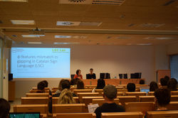 Copia de DSC_0464