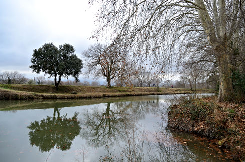 DSC_0175.jpg
