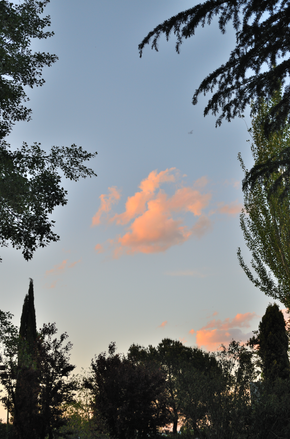DSC_0698.png