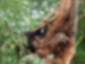 DSCF0603.JPG