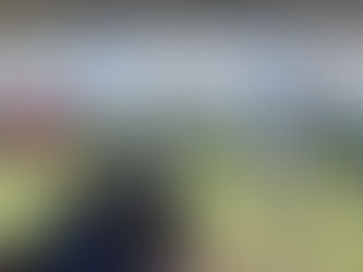 Estelle Playground Soccer/Multipurpose Fields