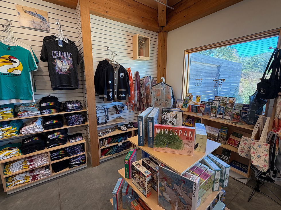 Discover a treasure trove of unique and delightful finds at this amazing gift shop, where each product tells its own story and promises to leave visitors in awe.
