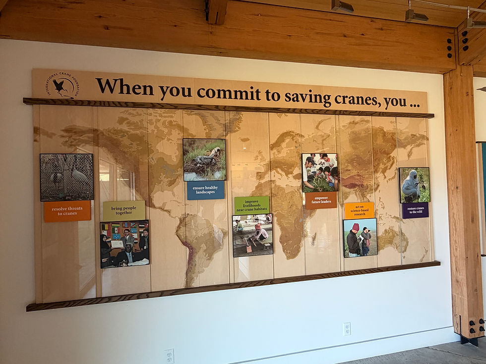 Educational display highlighting conservation efforts for cranes, emphasizing global commitments such as resolving threats, bringing people together, and restoring cranes to the wild.